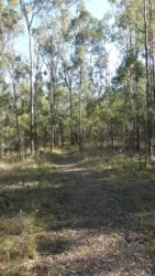 Barambah Bush 059 P1000812 scaled Barambah Bush 059 P1000812 scaled