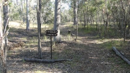 Barambah Bush 062 P1000815 Copy scaled Barambah Bush 062 P1000815 Copy scaled