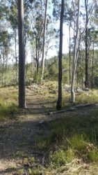 Barambah Bush 063 P1000816 scaled Barambah Bush 063 P1000816 scaled