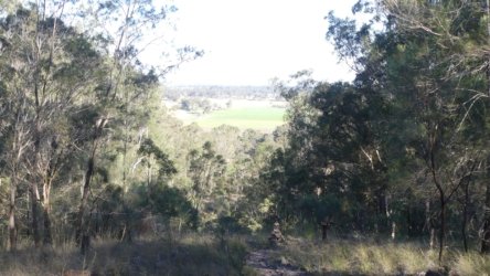 Barambah Bush 066 P1000819 Copy scaled Barambah Bush 066 P1000819 Copy scaled