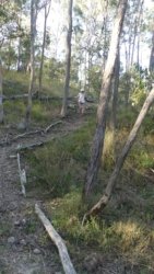 Barambah Bush 068 P1000821 scaled Barambah Bush 068 P1000821 scaled