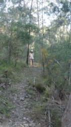 Barambah Bush 070 P1000823 Copy scaled Barambah Bush 070 P1000823 Copy scaled