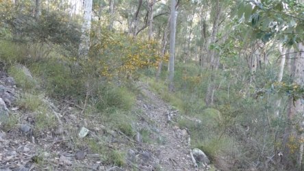 Barambah Bush 073 P1000826 scaled Barambah Bush 073 P1000826 scaled