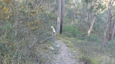 Barambah Bush 074 P1000827 scaled Barambah Bush 074 P1000827 scaled