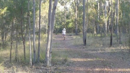 Barambah Bush 078 P1000831 Copy scaled Barambah Bush 078 P1000831 Copy scaled