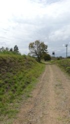 Barambah Bush 081 P1000834 scaled Barambah Bush 081 P1000834 scaled