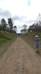 Barambah Bush 083 P1000836 Copy scaled Barambah Bush 083 P1000836 Copy scaled