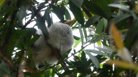 Barambah Bush 087 P1000840 Copy scaled Barambah Bush 087 P1000840 Copy scaled