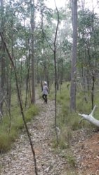 Barambah Bush 121 P1000876 scaled Barambah Bush 121 P1000876 scaled