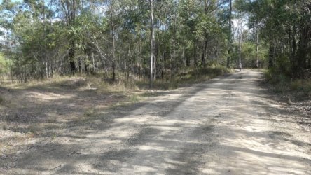 Barambah Bush 136 P1000892 scaled Barambah Bush 136 P1000892 scaled