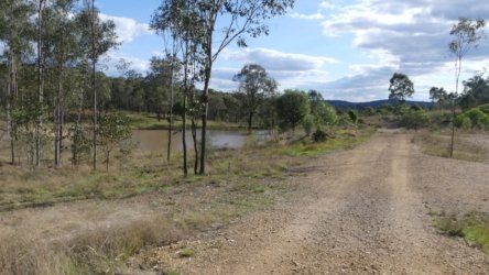 Barambah Bush 143 P1000899 scaled Barambah Bush 143 P1000899 scaled
