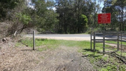 Benarkin 002 P1000910 scaled Benarkin 002 P1000910 scaled