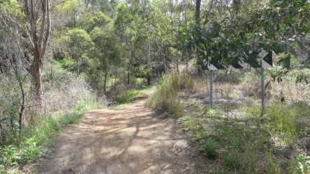 Benarkin 007 P1000915 scaled Benarkin 007 P1000915 scaled