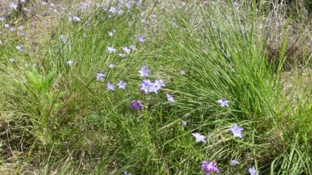 Benarkin 016 P1000924 scaled Benarkin 016 P1000924 scaled