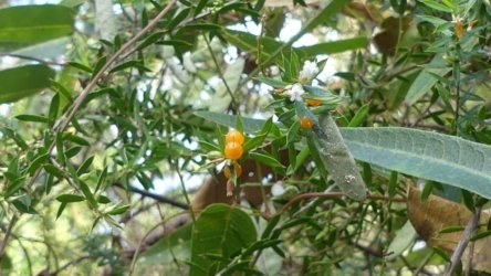 Benarkin 021 P1000929 scaled Benarkin 021 P1000929 scaled