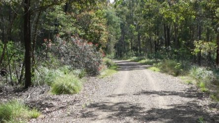 Benarkin 023 P1000931 scaled Benarkin 023 P1000931 scaled