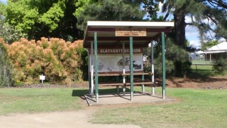 Benarkin 035 P1000943 scaled Benarkin 035 P1000943 scaled