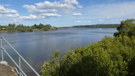 Bli Bli 004 P1000682 scaled Bli Bli 004 P1000682 scaled