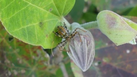 Bli Bli 022 P1000700 scaled Bli Bli 022 P1000700 scaled