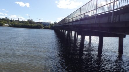 Bli Bli 025 P1000703 scaled Bli Bli 025 P1000703 scaled