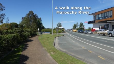 Bli Bli 027Cap P1000705 scaled Bli Bli 027Cap P1000705 scaled