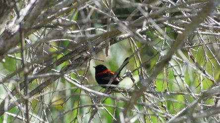 Bli Bli 033 P1000711 scaled Bli Bli 033 P1000711 scaled