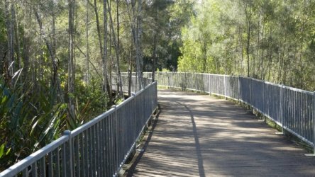 Bli Bli 034 P1000712 scaled Bli Bli 034 P1000712 scaled