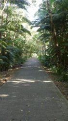 Bli Bli 035 P1000713 scaled Bli Bli 035 P1000713 scaled