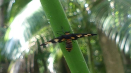 Bli Bli 036 P1000714 scaled Bli Bli 036 P1000714 scaled