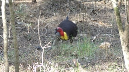 Bli Bli 044 P1000722 scaled Bli Bli 044 P1000722 scaled