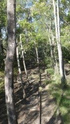 Bli Bli 058 P1000736 scaled Bli Bli 058 P1000736 scaled