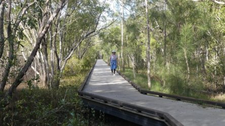 Bli Bli 061 P1000739 scaled Bli Bli 061 P1000739 scaled