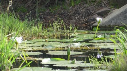 Bli Bli 073 P1000751 scaled Bli Bli 073 P1000751 scaled