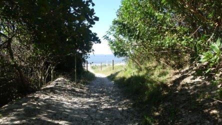 Bribie Island 007 P1000401 scaled Bribie Island 007 P1000401 scaled