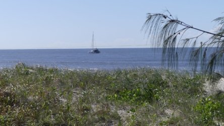 Bribie Island 009 P1000403 scaled Bribie Island 009 P1000403 scaled