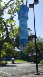 Bribie Island 017 P1000412 scaled Bribie Island 017 P1000412 scaled