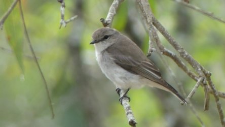 Hardings PaddockAug22 004 P1000536 scaled Hardings PaddockAug22 004 P1000536 scaled