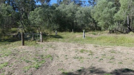 Hardings PaddockAug22 014 P1000547 scaled Hardings PaddockAug22 014 P1000547 scaled