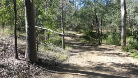 Hardings PaddockAug22 015 P1000548 scaled Hardings PaddockAug22 015 P1000548 scaled