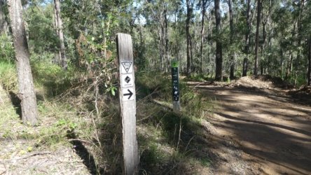 Hardings PaddockAug22 017 P1000550 scaled Hardings PaddockAug22 017 P1000550 scaled