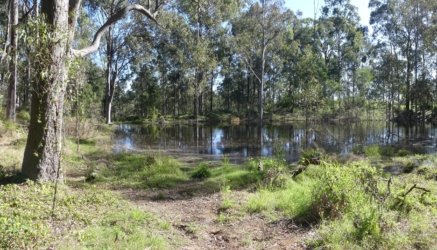 Hardings PaddockAug22 022 P1000555 scaled Hardings PaddockAug22 022 P1000555 scaled