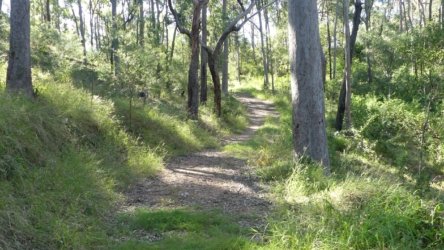 Hardings PaddockAug22 024 P1000557 scaled Hardings PaddockAug22 024 P1000557 scaled