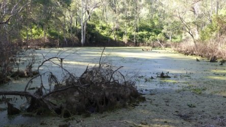 Hardings PaddockAug22 027 P1000560 scaled Hardings PaddockAug22 027 P1000560 scaled