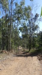 Hardings PaddockAug22 035 P1000569 scaled Hardings PaddockAug22 035 P1000569 scaled