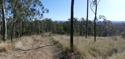 Hardings PaddockAug22 037 P1000571 scaled Hardings PaddockAug22 037 P1000571 scaled