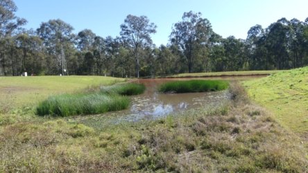 Hardings PaddockAug22 062 P1000604 scaled Hardings PaddockAug22 062 P1000604 scaled