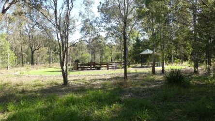 Hardings PaddockAug22 076 P1000622 scaled Hardings PaddockAug22 076 P1000622 scaled