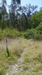 Hardings PaddockAug22 106 P1000655 scaled Hardings PaddockAug22 106 P1000655 scaled