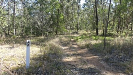 Hardings PaddockAug22 109 P1000658 scaled Hardings PaddockAug22 109 P1000658 scaled