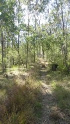 Hardings PaddockAug22 111 P1000660 scaled Hardings PaddockAug22 111 P1000660 scaled